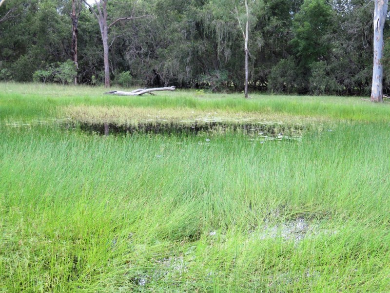 Miriam Vale QLD 4677