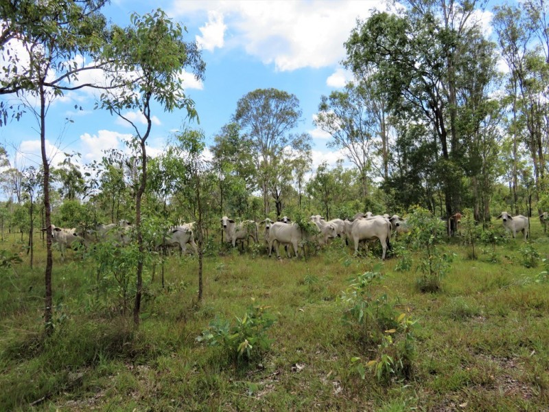 Miriam Vale QLD 4677