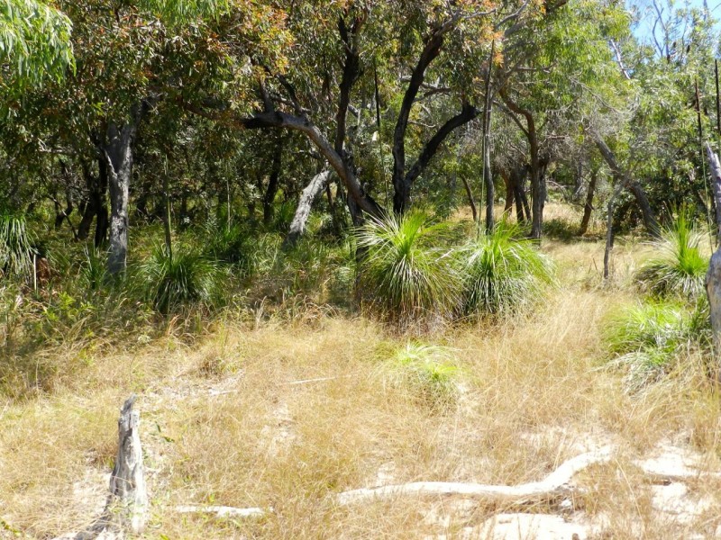 Agnes Water QLD 4677