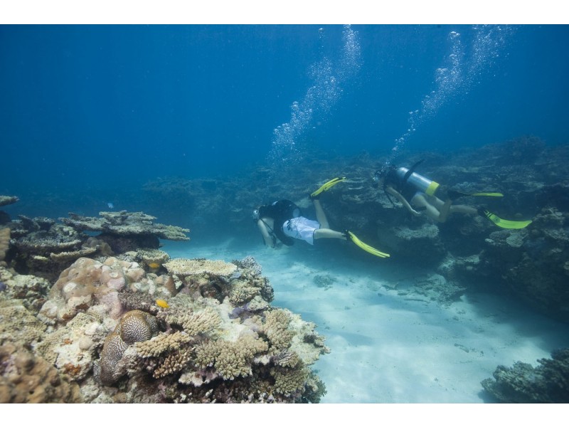 lot 2 Orton Court, Seventeen Seventy QLD 4677