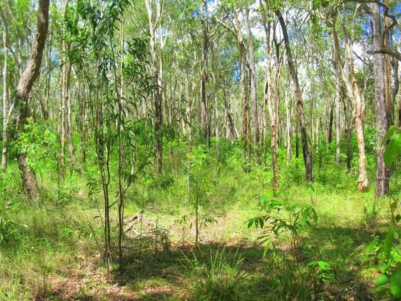 Lot 97 Range Road, Captain Creek QLD 4677