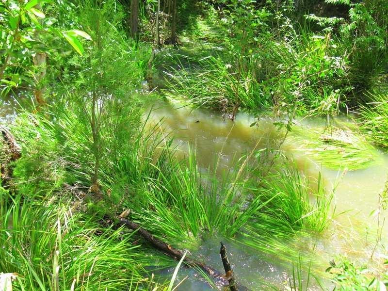 Lot 97 Range Road, Captain Creek QLD 4677