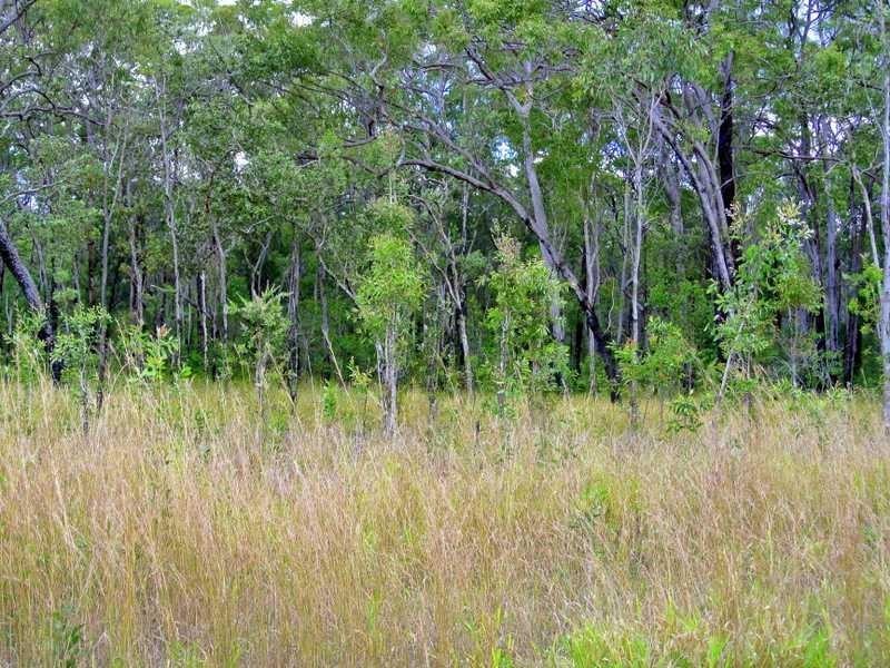Lot 97 Range Road, Captain Creek QLD 4677