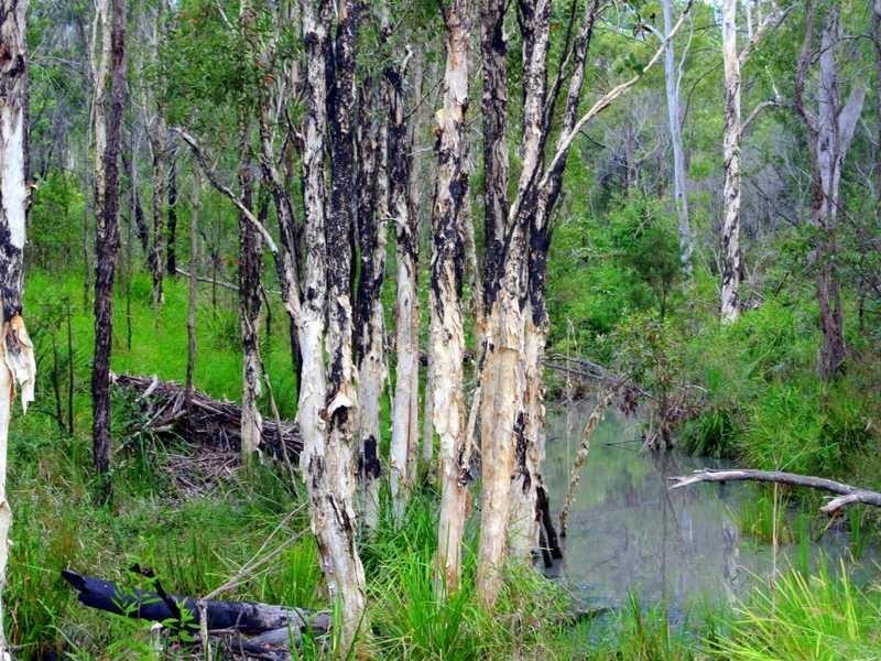 Lot 97 Range Road, Captain Creek QLD 4677