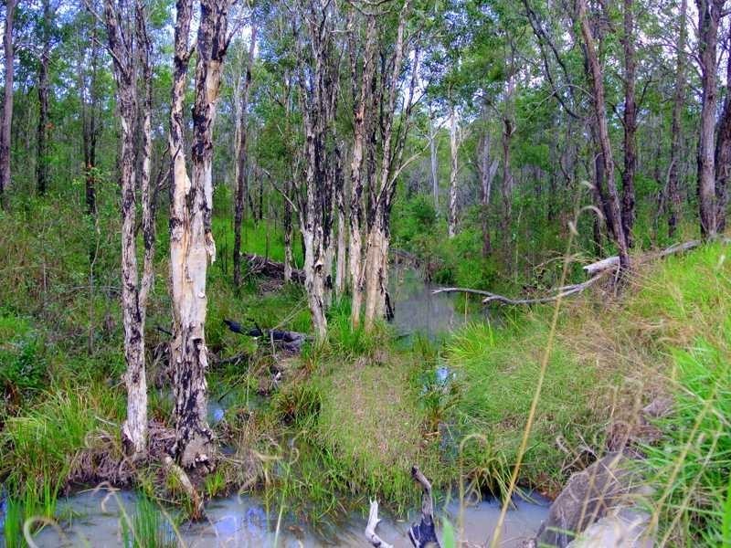 Lot 97 Range Road, Captain Creek QLD 4677