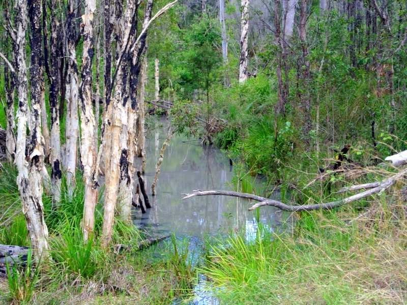 Lot 97 Range Road, Captain Creek QLD 4677