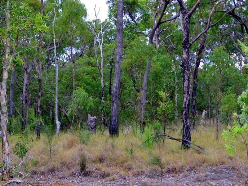 Lot 97 Range Road, Captain Creek QLD 4677