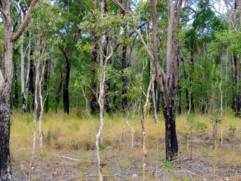 Lot 97 Range Road, Captain Creek QLD 4677