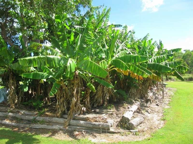 36 Wistari Tce, Agnes Water QLD 4677