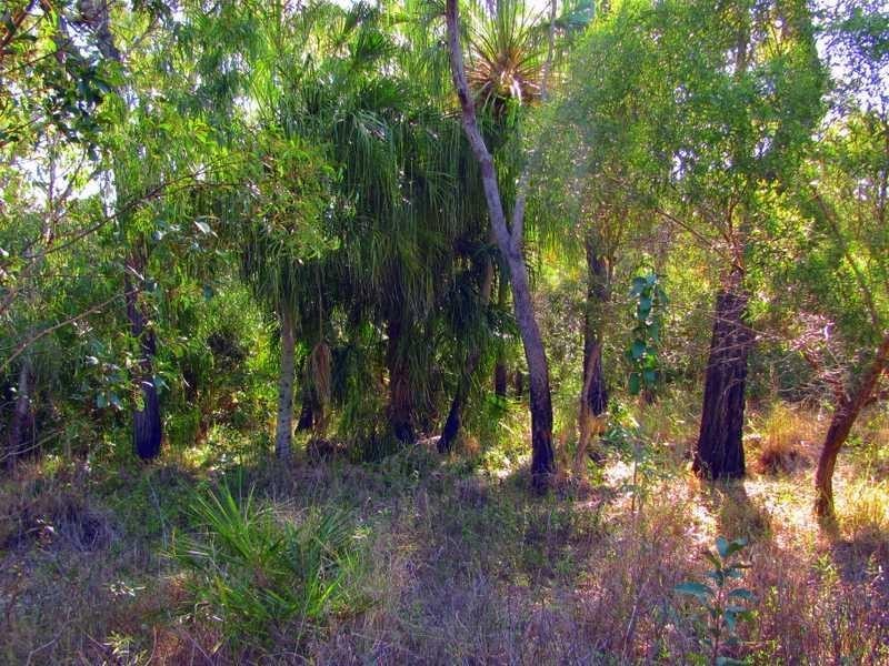 Lot 91 Fitzroy Crescent, Agnes Water QLD 4677