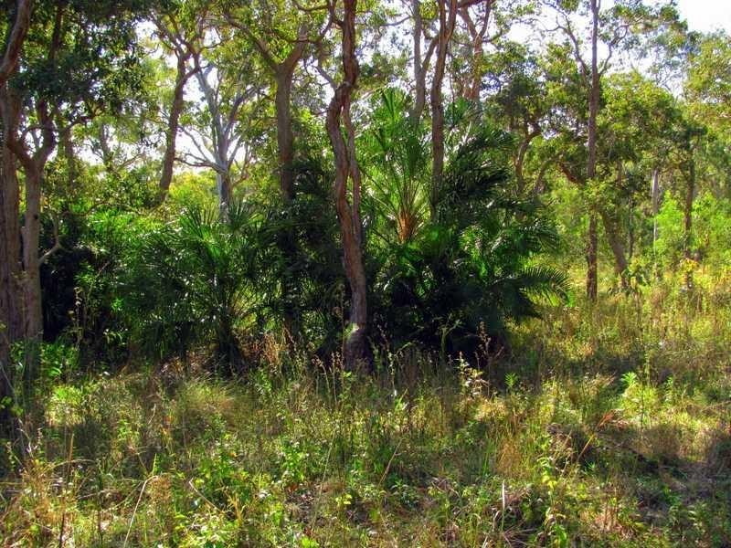 Lot 91 Fitzroy Crescent, Agnes Water QLD 4677