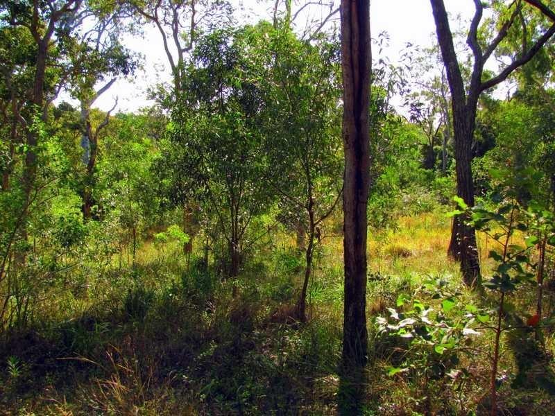 Lot 91 Fitzroy Crescent, Agnes Water QLD 4677