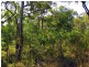 Lot 91 Fitzroy Crescent, Agnes Water QLD 4677
