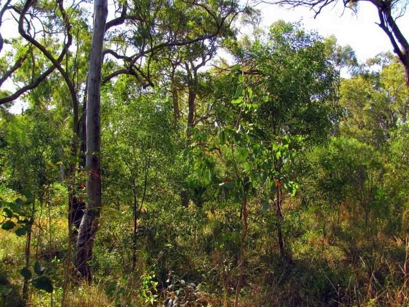 Lot 91 Fitzroy Crescent, Agnes Water QLD 4677