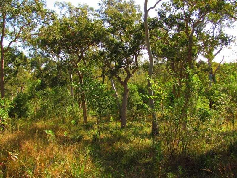 Lot 91 Fitzroy Crescent, Agnes Water QLD 4677