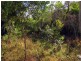 Lot 91 Fitzroy Crescent, Agnes Water QLD 4677