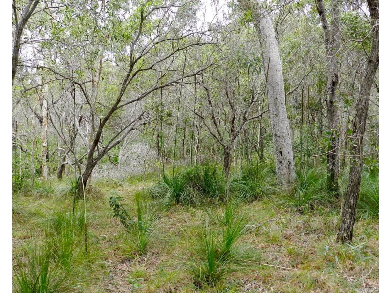 Agnes Water QLD 4677