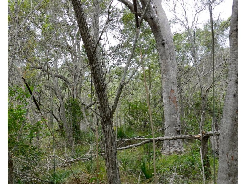 Agnes Water QLD 4677
