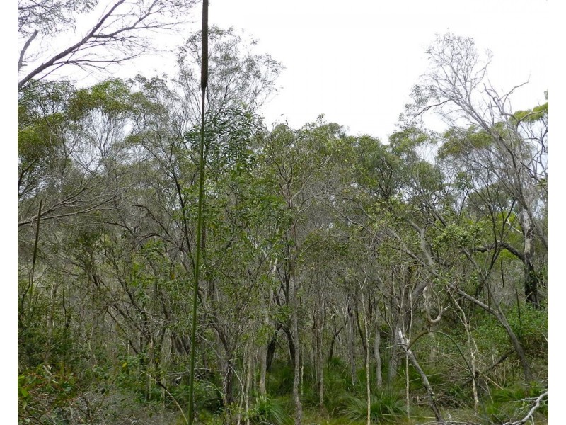 Agnes Water QLD 4677