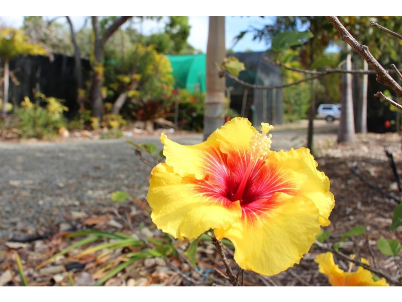 220 Bicentennial Drive, Agnes Water QLD 4677