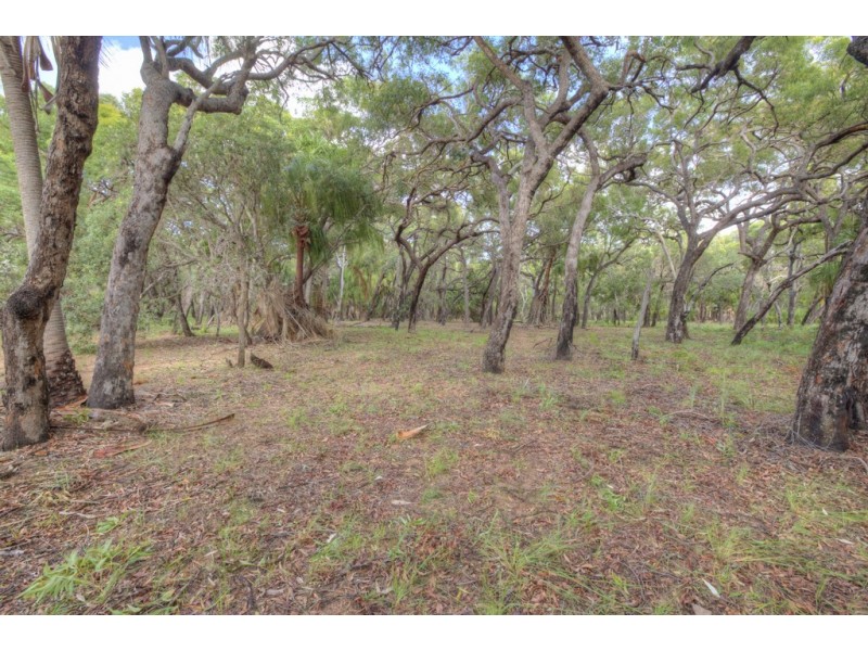 Lot 75 Bloodwood Avenue, Agnes Water QLD 4677