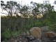 Lot 32 Baldaw Road, Captain Creek QLD 4677