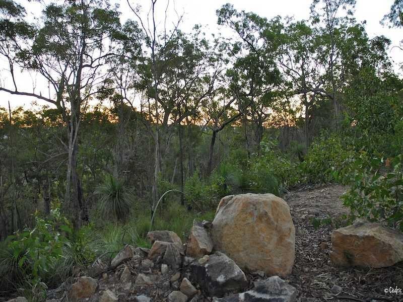 Lot 32 Baldaw Road, Captain Creek QLD 4677