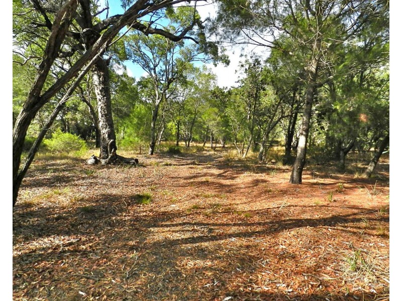 Agnes Water QLD 4677
