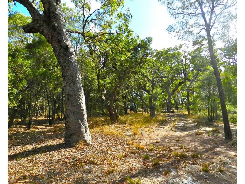 Agnes Water QLD 4677