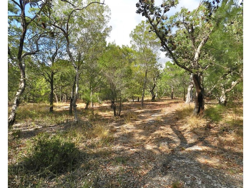Agnes Water QLD 4677