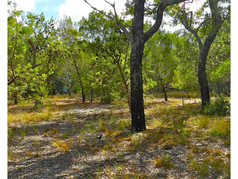 Agnes Water QLD 4677