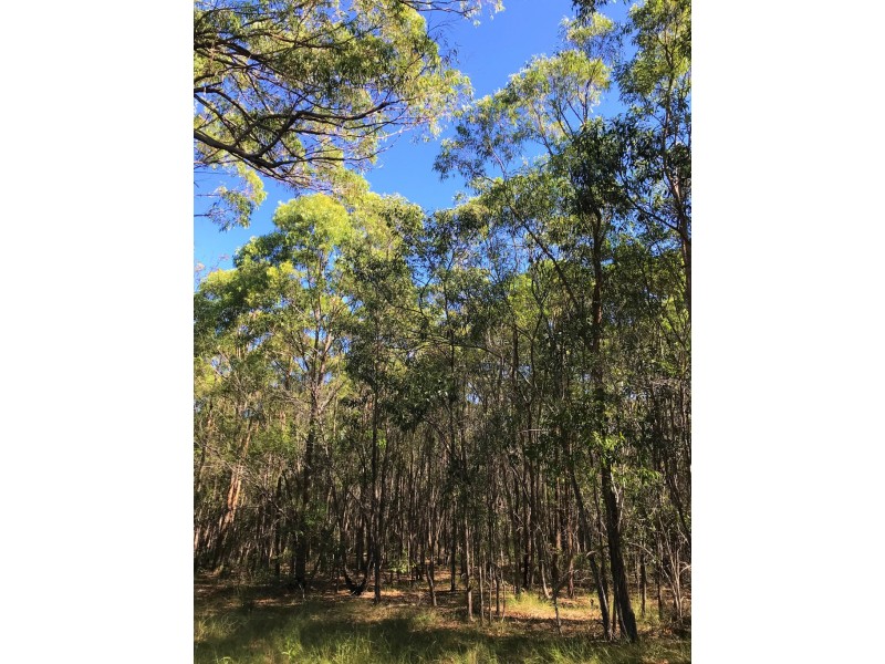 Agnes Water QLD 4677