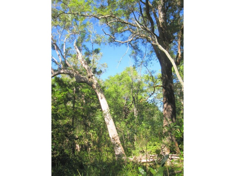 Captain Creek QLD 4677