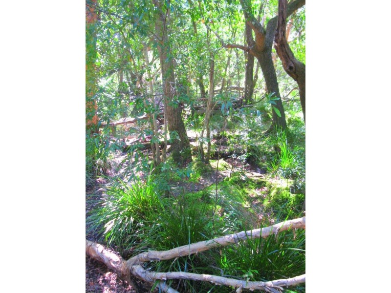 Captain Creek QLD 4677