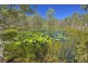 63 Allingham Way, Agnes Water QLD 4677