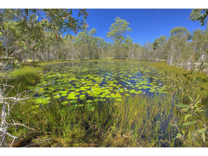 63 Allingham Way, Agnes Water QLD 4677