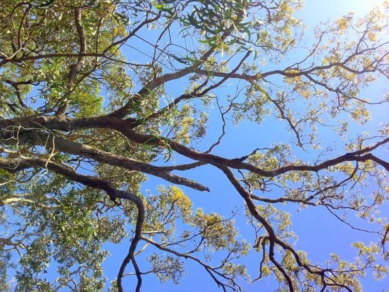 Lot 364 Streeter Drive, Agnes Water QLD 4677