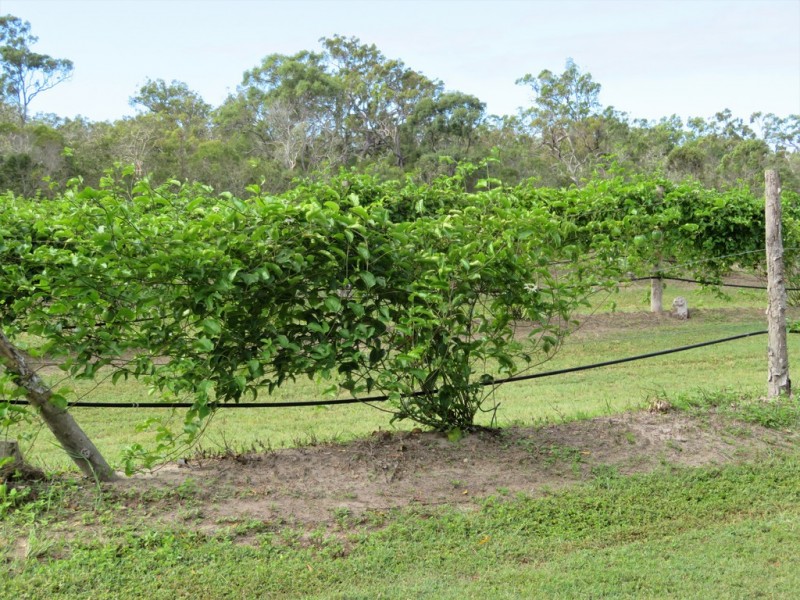 94 Freshwater Court, Deepwater QLD 4674