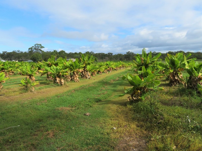 94 Freshwater Court, Deepwater QLD 4674