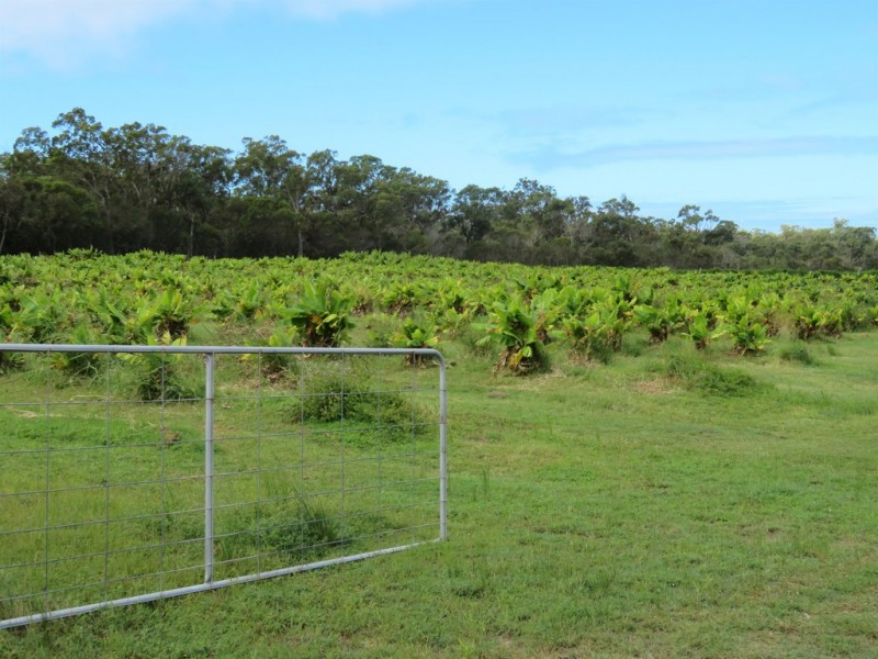 94 Freshwater Court, Deepwater QLD 4674