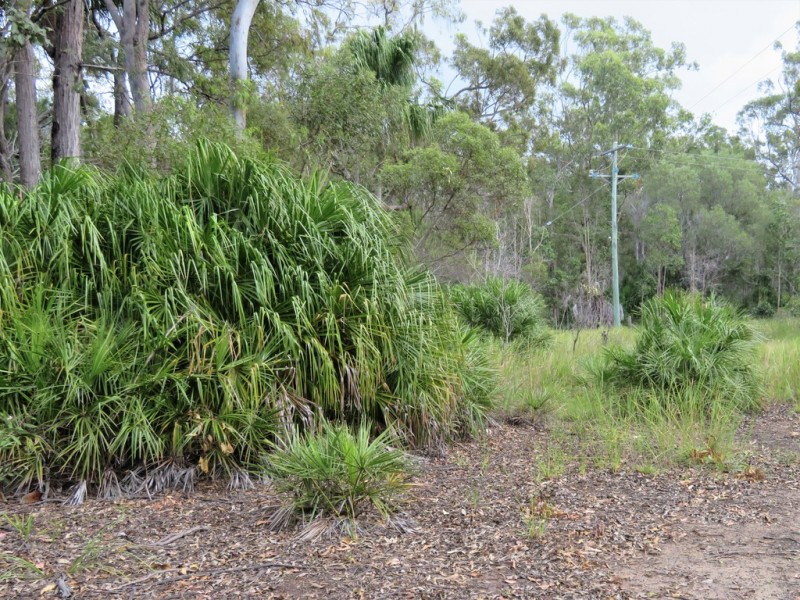 94 Freshwater Court, Deepwater QLD 4674