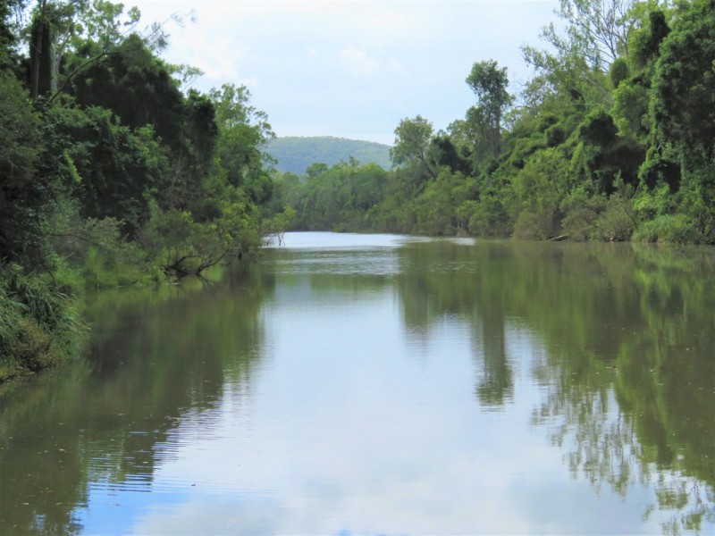 418 Bindaree Road,, Mount Tom QLD 4677