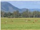 418 Bindaree Road,, Mount Tom QLD 4677