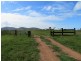 418 Bindaree Road,, Mount Tom QLD 4677
