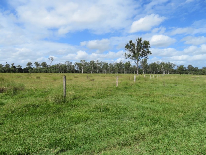 418 Bindaree Road,, Mount Tom QLD 4677
