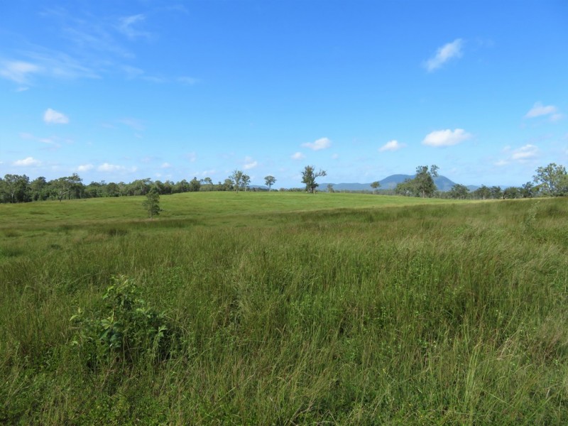 418 Bindaree Road,, Mount Tom QLD 4677