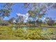 115 Jakeman Drive, Agnes Water QLD 4677