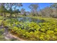 115 Jakeman Drive, Agnes Water QLD 4677