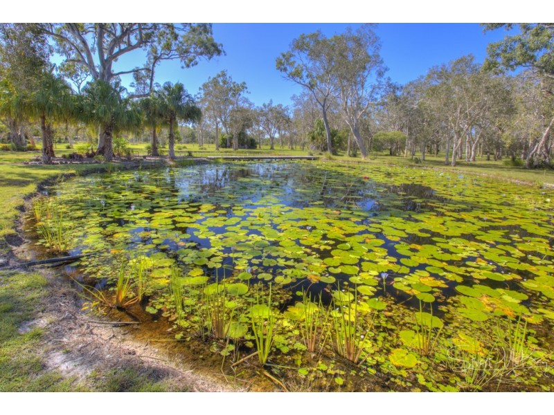 115 Jakeman Drive, Agnes Water QLD 4677