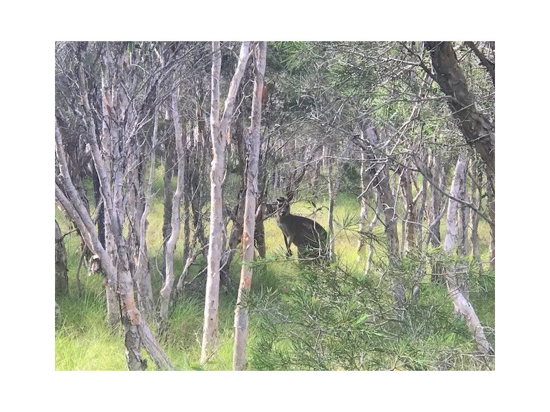 Agnes Water QLD 4677